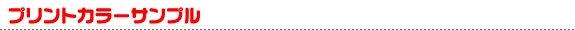 �ץ��ȥ��顼����ץ�