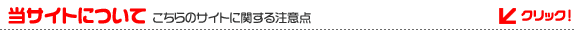 製当サイトについて | こちらのサイトに関する注意点 当サイトについて | こちらのサイトに関する注意点
