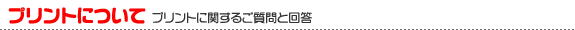 �ץ��ȤˤĤ��� | �ץ��Ȥ˴ؤ��뤴����Ȥ�����